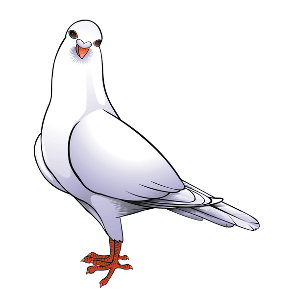Paloma — estilo S, estable